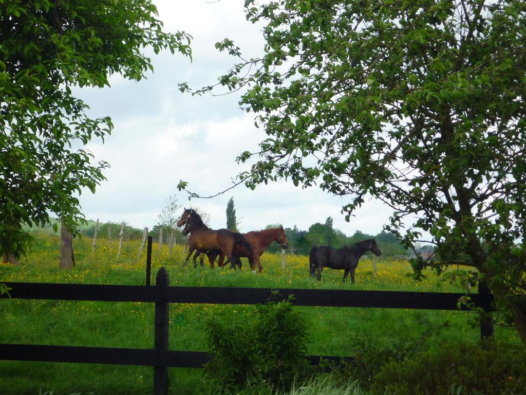 Au Mesnil Le Bas Bray Bed & Breakfast Bures-en-Bray ภายนอก รูปภาพ