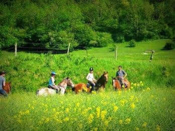 Au Mesnil Le Bas Bray Bed & Breakfast Bures-en-Bray ภายนอก รูปภาพ