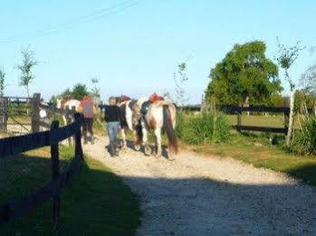 Au Mesnil Le Bas Bray Bed & Breakfast Bures-en-Bray ภายนอก รูปภาพ
